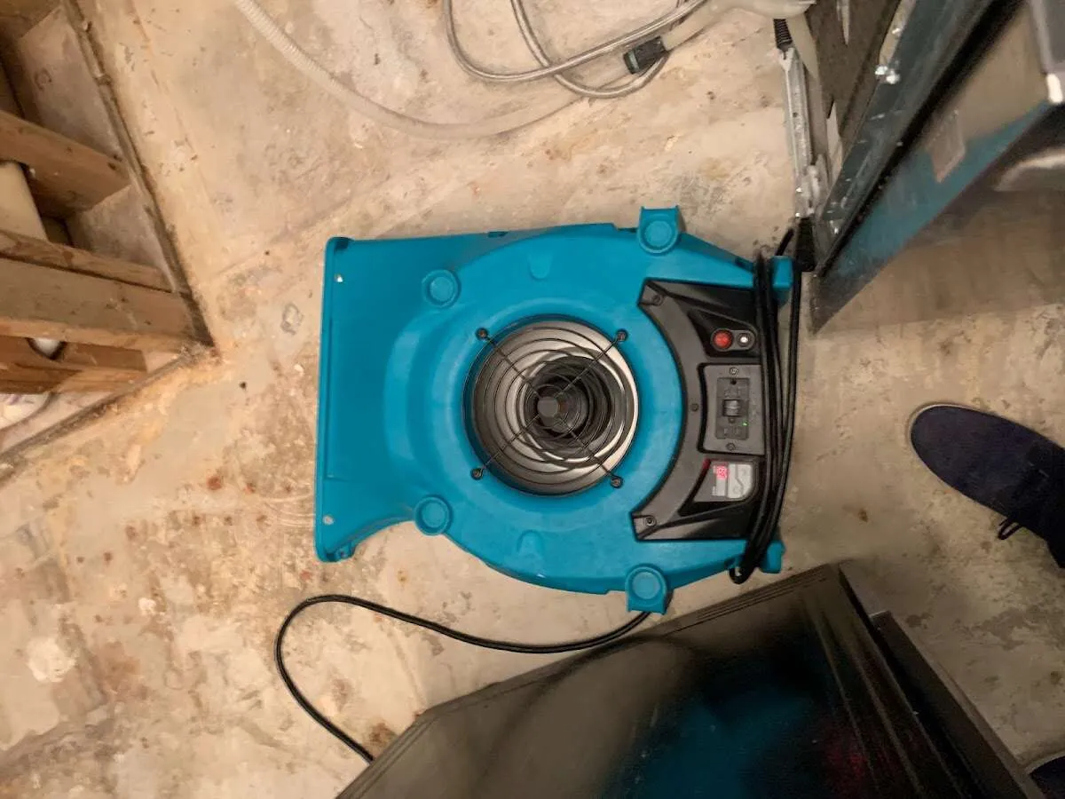 Air mover drying equipment for Mold Remediation & Removal in Irvington