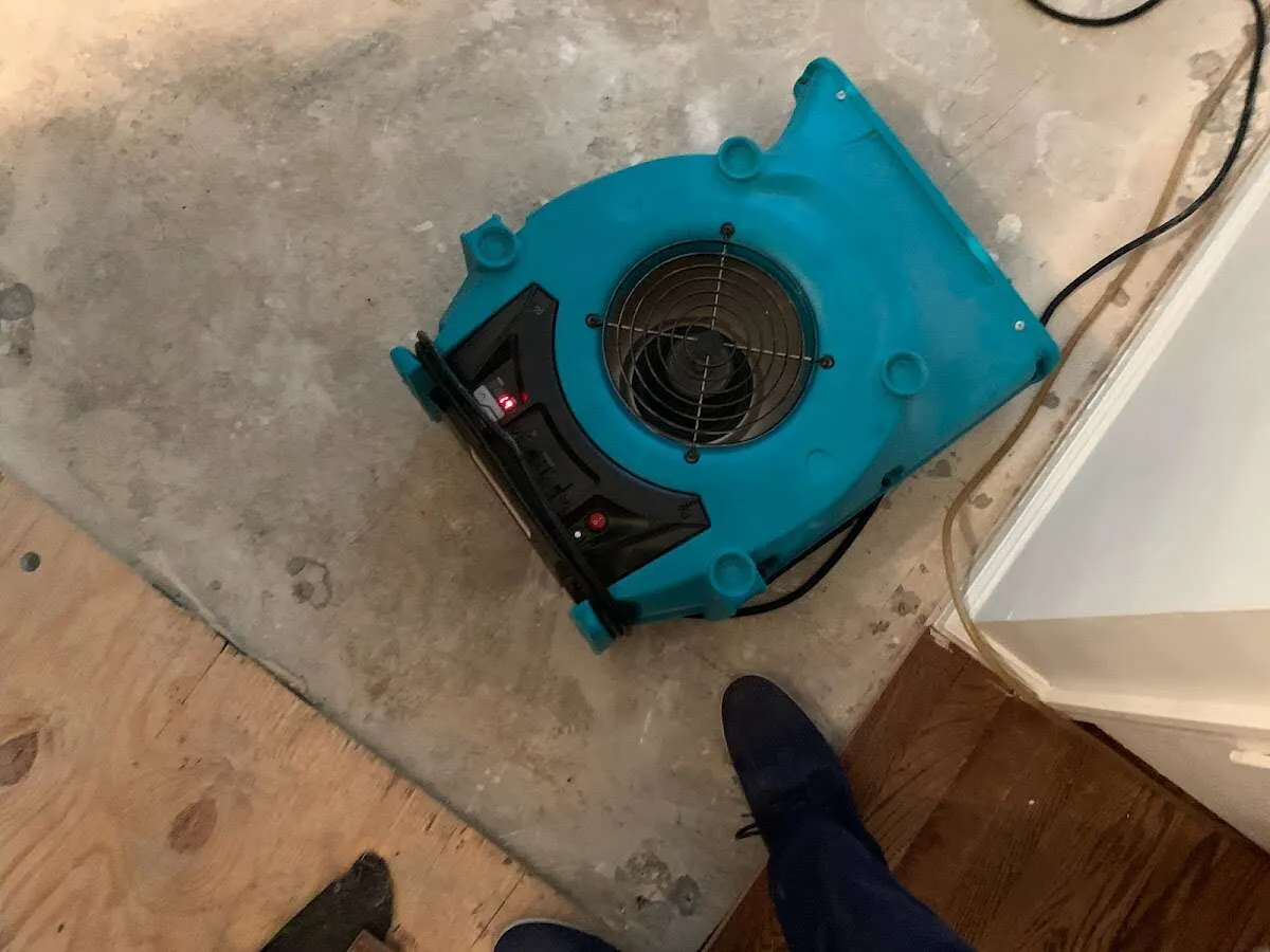 Air mover drying subfloor during Commercial Water Damage Restoration in Irvington